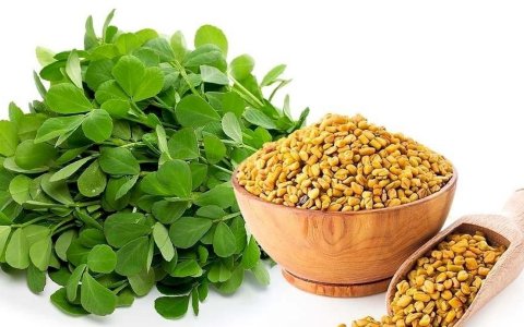 CƠ CHẾ SẢN PHẨM FAMILK