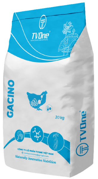 GACINO - Phụ gia giúp kiểm soát bệnh viêm ruột hoại tử trên heo và gia cầm