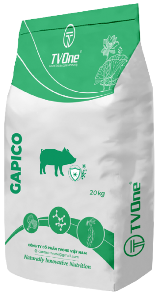 GAPICO