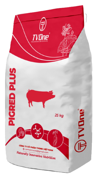 PIGRED PLUS - Phụ gia giúp đỏ thịt, da hồng, lông mượt