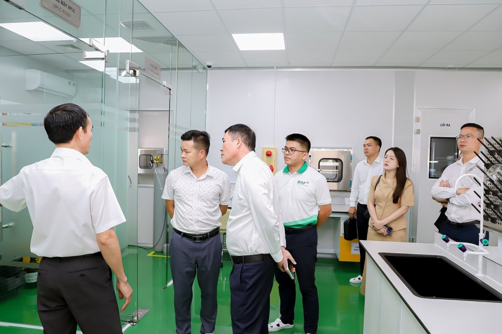 TVOne, Tân Long và BAF Việt Nam