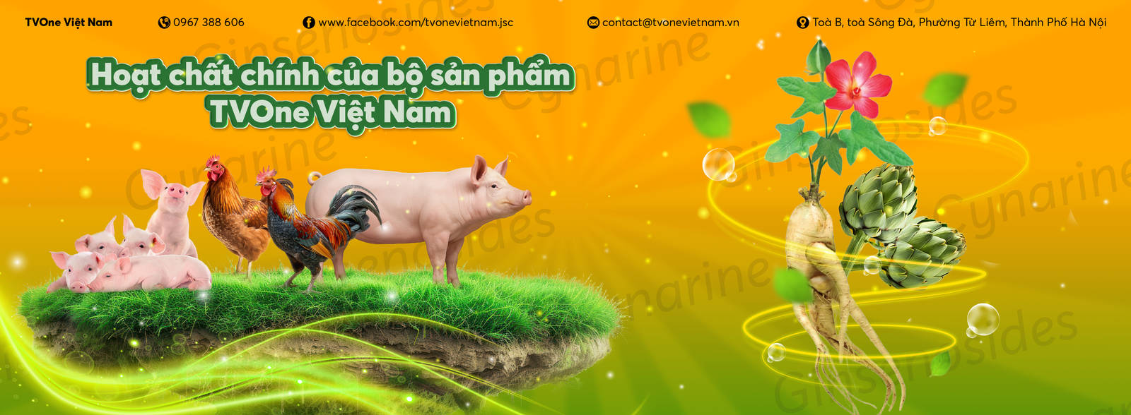Thức ăn bổ sung cho gia cầm